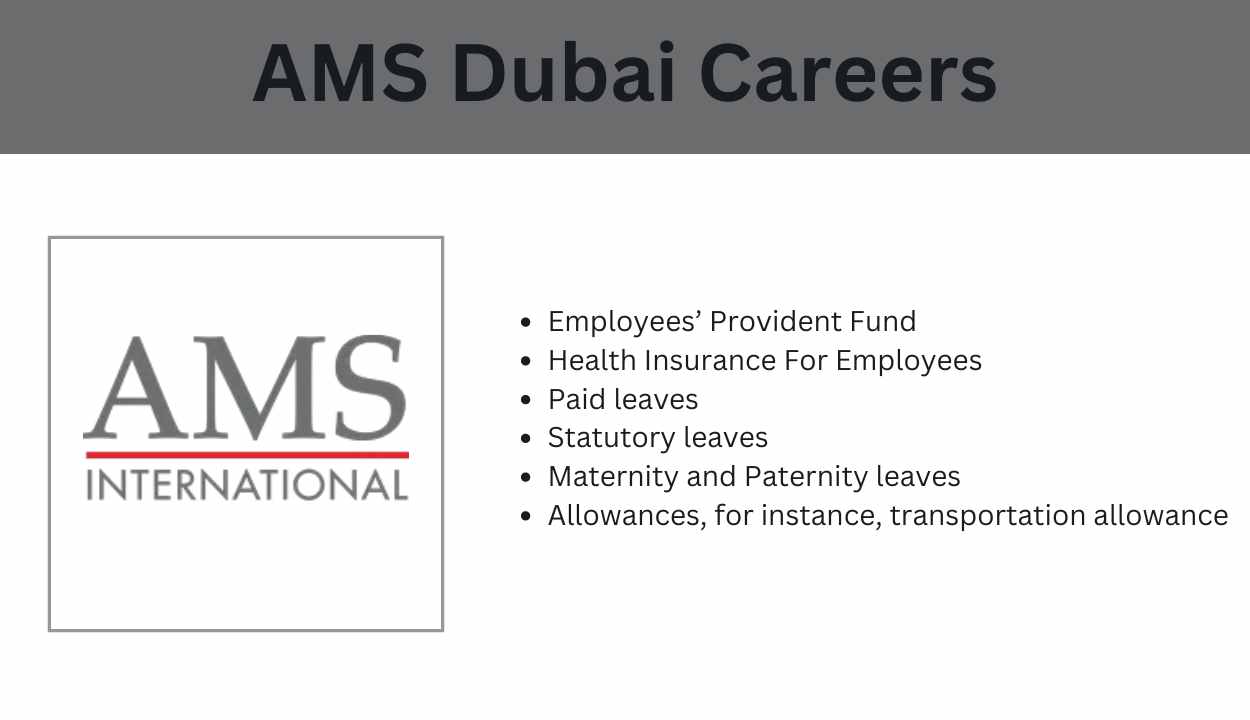 AMS Dubai Careers: Opportunities Await in the Heart of Dubai