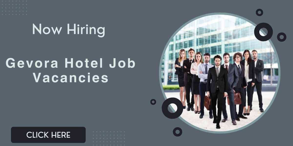 Hospitality Jobs in Dubai for Freshers: Urgent Hiring (Gevora Hotel Job Vacancies)